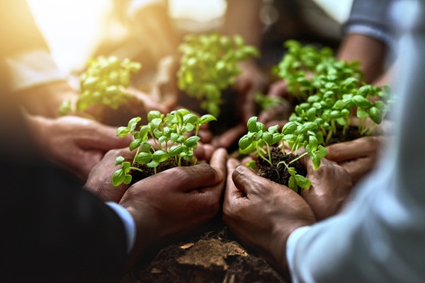 Soutien aux exploitations agricoles en difficultés : des aides possibles